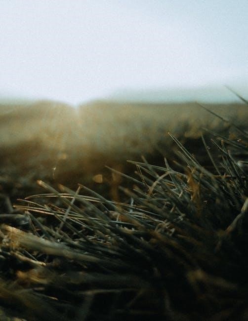 grim dawn purifier leveling guide