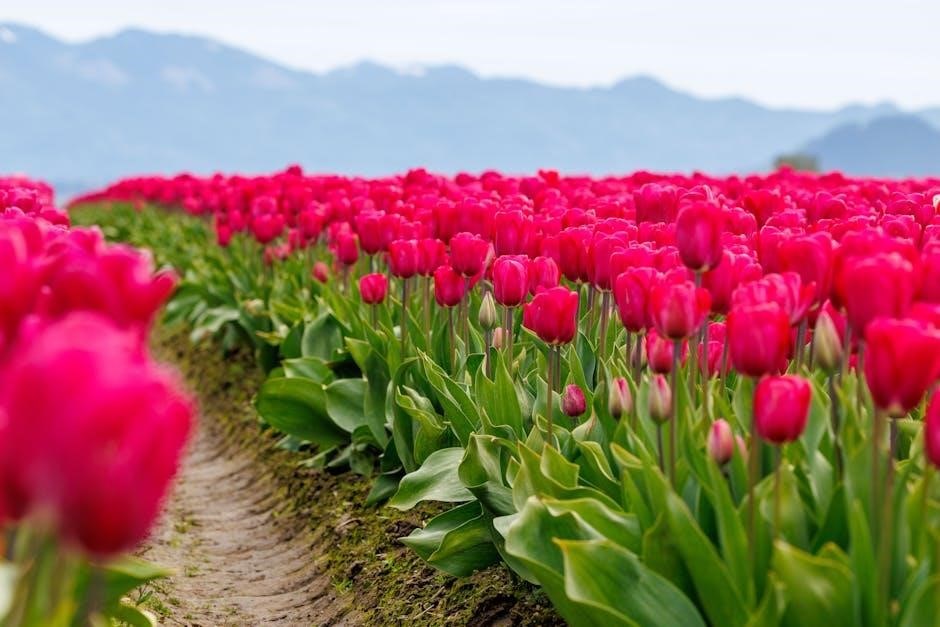 zone 7b planting guide